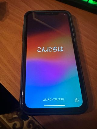 iPhone X Apple Multicolor