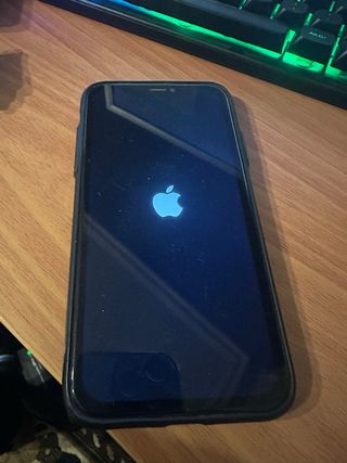 iPhone X Apple Multicolor