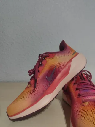 Nike Pegasus 41 Ed. Limitada Talla 42