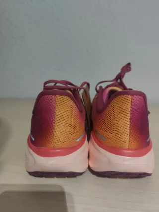 Nike Pegasus 41 Ed. Limitada Talla 42