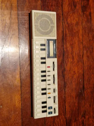 Teclado Casio VL-TONE