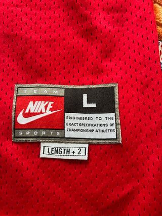 Camiseta Chicago Bulls Michael Jordan 23 Nike