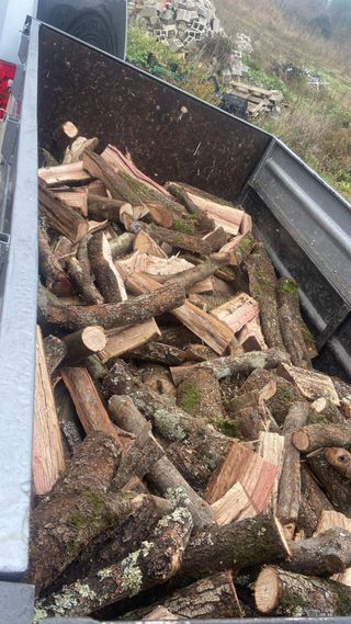 Leña seca 100% - Oferta