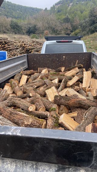 Leña seca 100% - Oferta