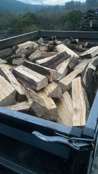 Leña seca 100% - Oferta