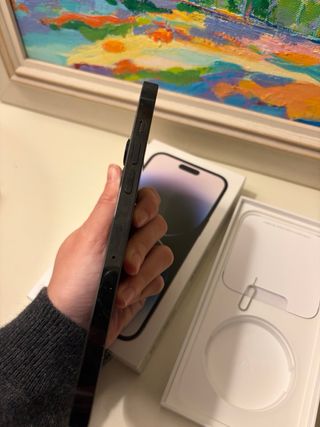 iPhone 14 Pro Max Negro