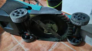 Cortacésped Bosch Rotak 37