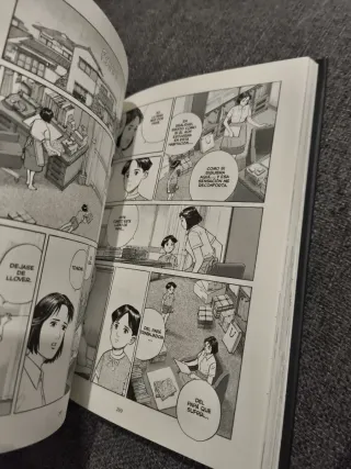 Cielos Radiantes de Jiro Taniguchi