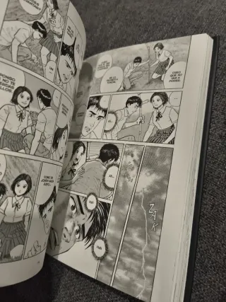 Cielos Radiantes de Jiro Taniguchi