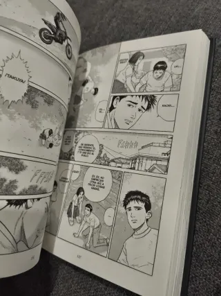 Cielos Radiantes de Jiro Taniguchi