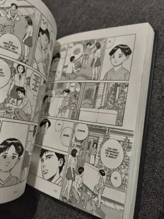 Cielos Radiantes de Jiro Taniguchi