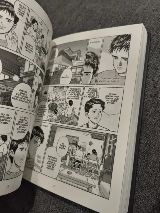 Cielos Radiantes de Jiro Taniguchi