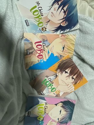 Colección mangas 1,2,3 y 4 de mi chico lobo