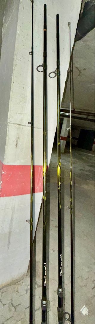 cañas pesca carpfishing