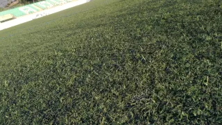 Venta Césped artificial reciclado