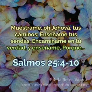 Hago todo tipo de limpieza en casas porterías nave