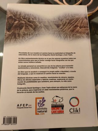 Pinceladas de luz ods caminos hacia la creatividad