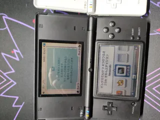 Due Nintendo DSi giapponesi (Nera e Bianca)