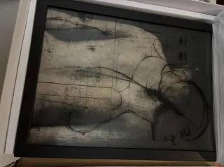 Libro arte - Cuerpos y Flores - Antonio López