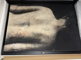 Libro arte - Cuerpos y Flores - Antonio López