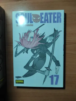 Soul eater 17