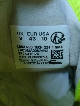 Zapatillas Lacoste Talla 43