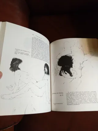 LIBROS DE PRÁCTICAS Y TÉCNICAS SEXUALES - E 7
