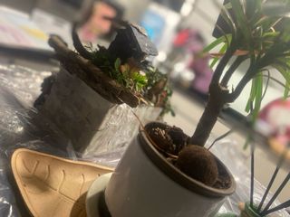 Casas artesanales encantadas