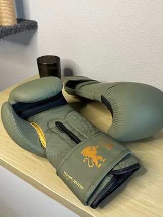 Guantes Boxeo Leone Military 12 oz