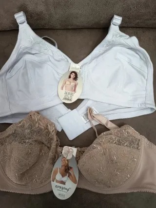 Lote de sujetadores variados