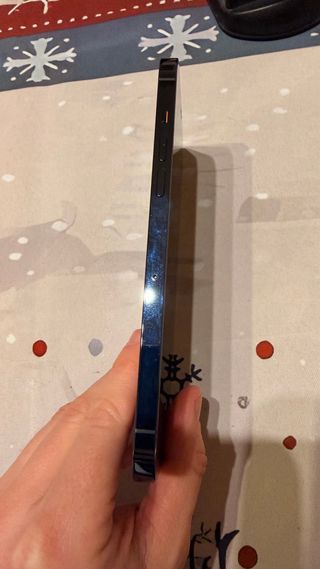 iPhone 12 Pro Max 256Gb Blu