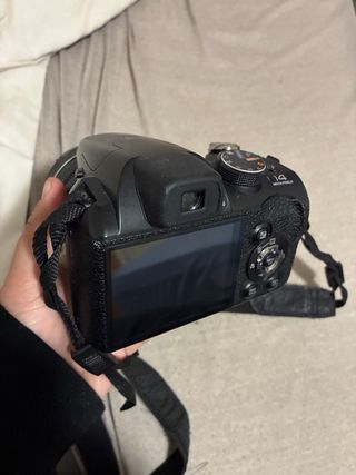 Fujifilm FinePix S4200 – Perfetto