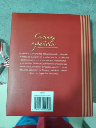 COCINA ESPAÑOLA (LAS MAS IRRESISTIBLES RECETAS)