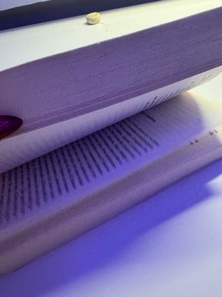 Perdona si te llamo amor (Spanish Edition)