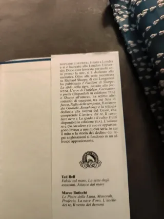 Un cavaliere e il suo re romanzo