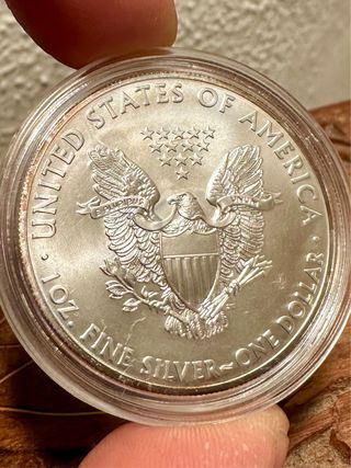 Dólar Plata 999 1 Onza 2013