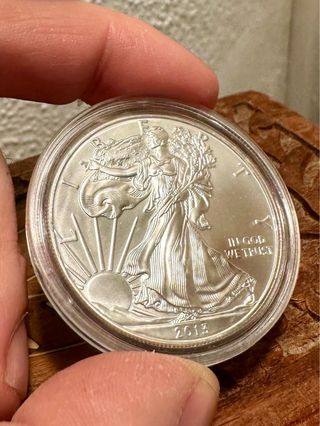 Dólar Plata 999 1 Onza 2013