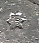 DA2662. 5 PTAS PLATA ALFONSO XIII 1892 (18-92) PGM