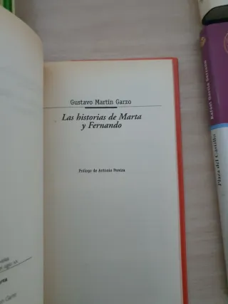 Las historias de Marta y Fernando. Gustavo Martín