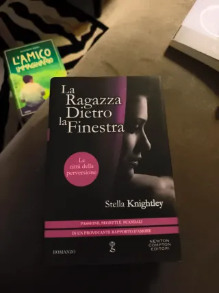 La ragazza dietro la finestra. Le città della p...