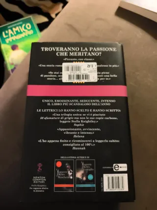 La ragazza dietro la finestra. Le città della p...