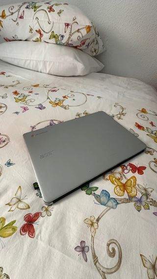 Portátil Acer Plata