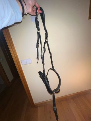 Pechopetral de cuero negro de 5 puntos talla cob