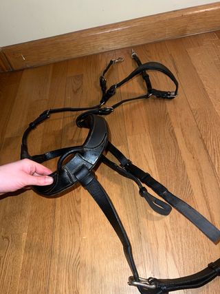 Pechopetral de cuero negro de 5 puntos talla cob