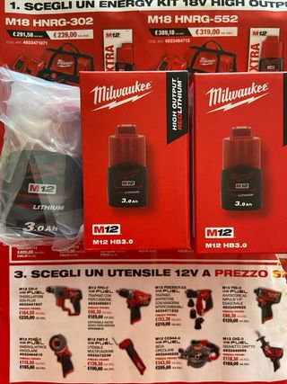 Milwaukee M12 2x 3.0Ah Batterie