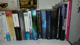 Lote de libros lectura