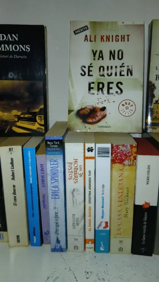 Lote de libros lectura