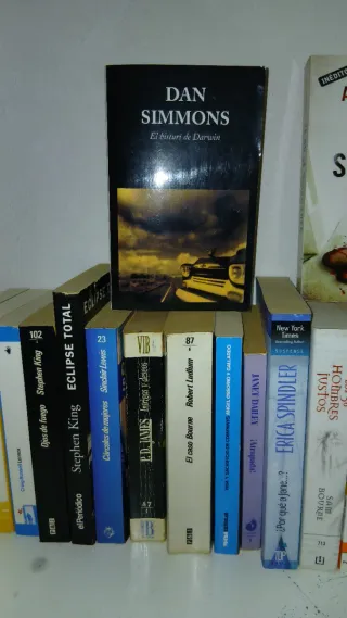 Lote de libros lectura