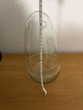 Terrario para plantas