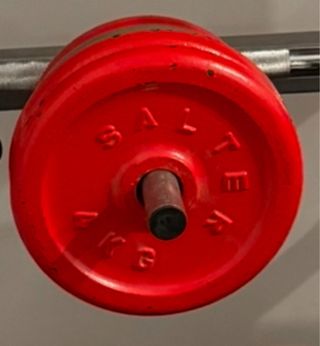 Discos Salter 5/4/3/2 y 1 Kg